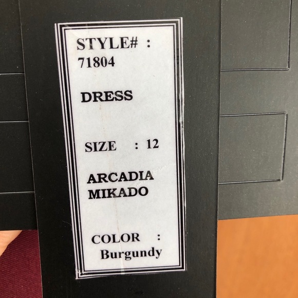 Brand New Madeleine Gardner Formal Dress - Picture 6 of 8